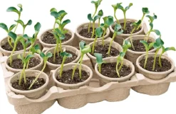 Hot Sogo Eco Anzucht-Set inkl. 12 Anzuchttöpfchen 7,5 x 40 x 28 cm Anzuchtkästen & Mini-Gewächshäuser