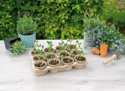 Hot Sogo Eco Anzucht-Set inkl. 12 Anzuchttöpfchen 7,5 x 40 x 28 cm Anzuchtkästen & Mini-Gewächshäuser