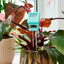 Outlet Sogo pH- & Feuchtigkeitsmesser 38 x 11 x 4 cm Feuchtigkeitsmesser