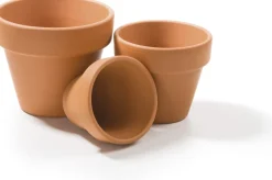 Discount SOGO Terrakotta Anzuchttopf D 4/5 cm 12 St. Anzuchttöpfe