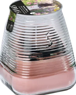 Clearance Spaas Citronella-Kerze Summer Blossom rosa 45 Std. D 9 H 9,8 cm Kerzen Im Glas|Citronella-Kerzen