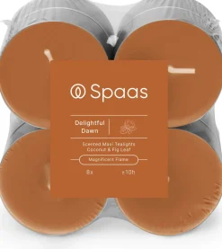 Online Spaas Duftkerze Essential collection Delightful Dawn orange 10 Std. D 6 H 2,1 cm 8 St. Teelichter|Duftkerzen