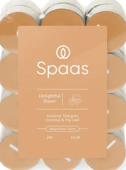 Hot Spaas Duftkerze Essential Collection Delightful Dawn orange 4,5 Stunden D 3,9 H 1,6 cm 24 St. Teelichter|Duftkerzen