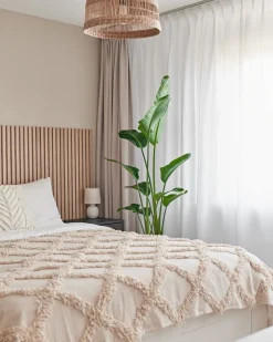 Sale Strelitzie (Strelitzia nicolai) D 27 H 150 cm Große Pflanzen|Blühende Zimmerpflanzen