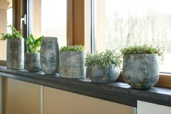 Sale TS Blumentopf Amber 35 x 16 x 35 cm schwarz / braun Blumentöpfe & Pflanzgefäße|Blumentöpfe