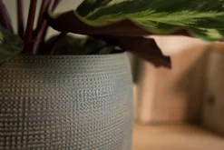 Discount TS Blumentopf Dex grün D 19 H 16 cm Blumentöpfe|Blumentöpfe & Pflanzgefäße