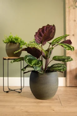 Clearance TS Blumentopf Dex grün D 28 H 25 cm Blumentöpfe|Blumentöpfe & Pflanzgefäße