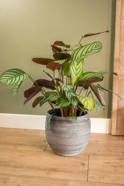 New TS Blumentopf Dex weiß / grau D 22 H 20 cm Blumentöpfe|Blumentöpfe & Pflanzgefäße