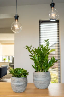 Hot TS Blumentopf Dex weiß / grau D 17 H 13 cm Blumentöpfe & Pflanzgefäße|Blumentöpfe