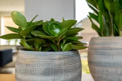 Hot TS Blumentopf Dex weiß / grau D 17 H 13 cm Blumentöpfe & Pflanzgefäße|Blumentöpfe