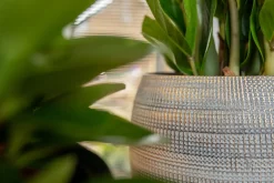 Hot TS Blumentopf Dex weiß / grau D 17 H 13 cm Blumentöpfe & Pflanzgefäße|Blumentöpfe