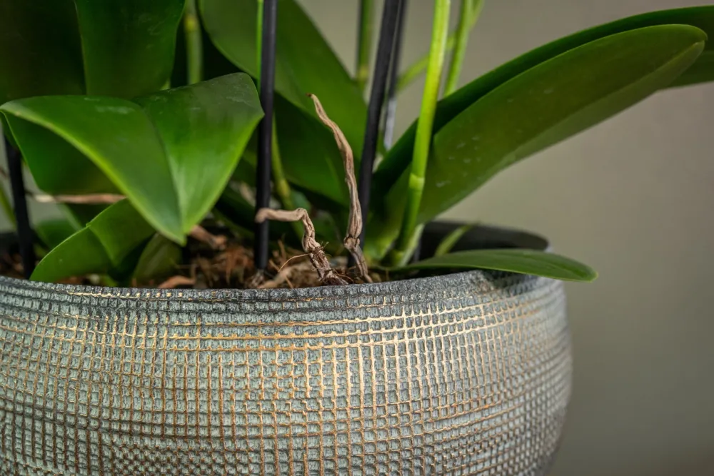 Outlet TS Blumentopf Dex weiß / grau D 28 H 25 cm Blumentöpfe & Pflanzgefäße|Blumentöpfe