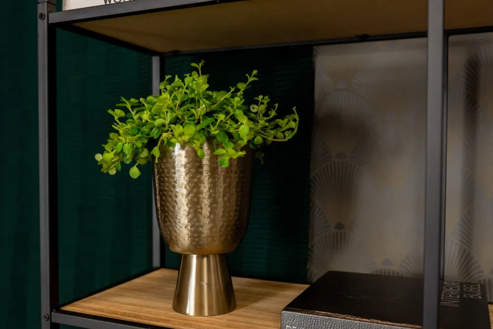 New TS Blumentopf mit Fuß Lauren gold D 15 H 24 cm Blumentöpfe|Blumentöpfe & Pflanzgefäße