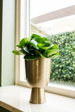 New TS Blumentopf mit Fuß Lauren gold D 15 H 24 cm Blumentöpfe|Blumentöpfe & Pflanzgefäße