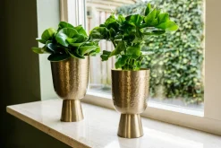 Hot TS Blumentopf mit Fuß Lauren gold D 12 H 19 cm Blumentöpfe|Blumentöpfe & Pflanzgefäße