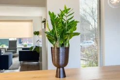 Hot TS Blumentopf mit Fuß Lauren grau D 12 H 19 cm Blumentöpfe|Blumentöpfe & Pflanzgefäße