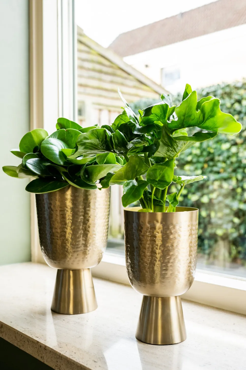 TS Blumentopf mit Fuß Lauren gold D 18 H 28 cm Blumentöpfe & Pflanzgefäße|Blumentöpfe