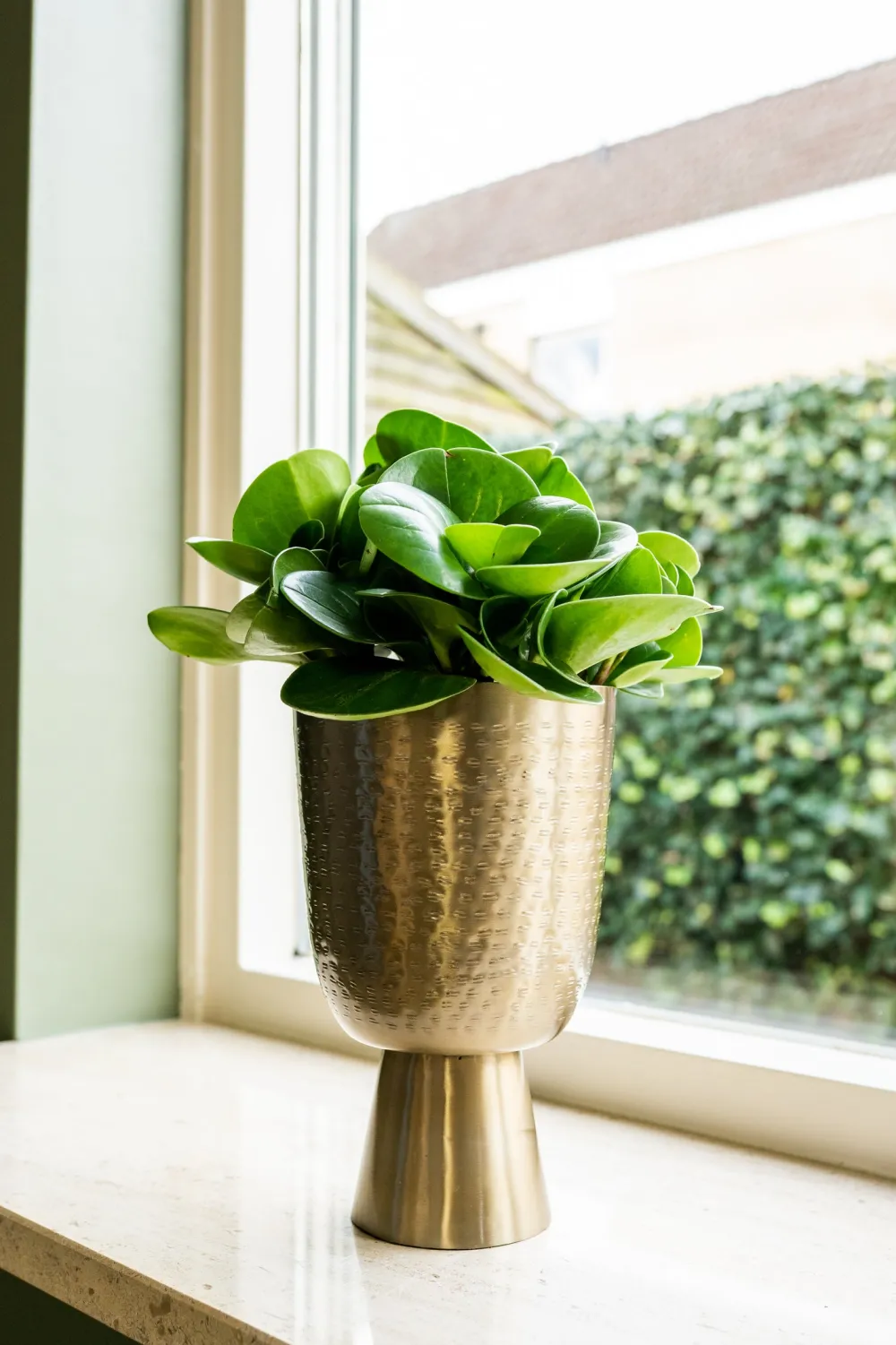 TS Blumentopf mit Fuß Lauren gold D 18 H 28 cm Blumentöpfe & Pflanzgefäße|Blumentöpfe