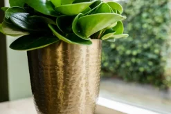 TS Blumentopf mit Fuß Lauren gold D 18 H 28 cm Blumentöpfe & Pflanzgefäße|Blumentöpfe