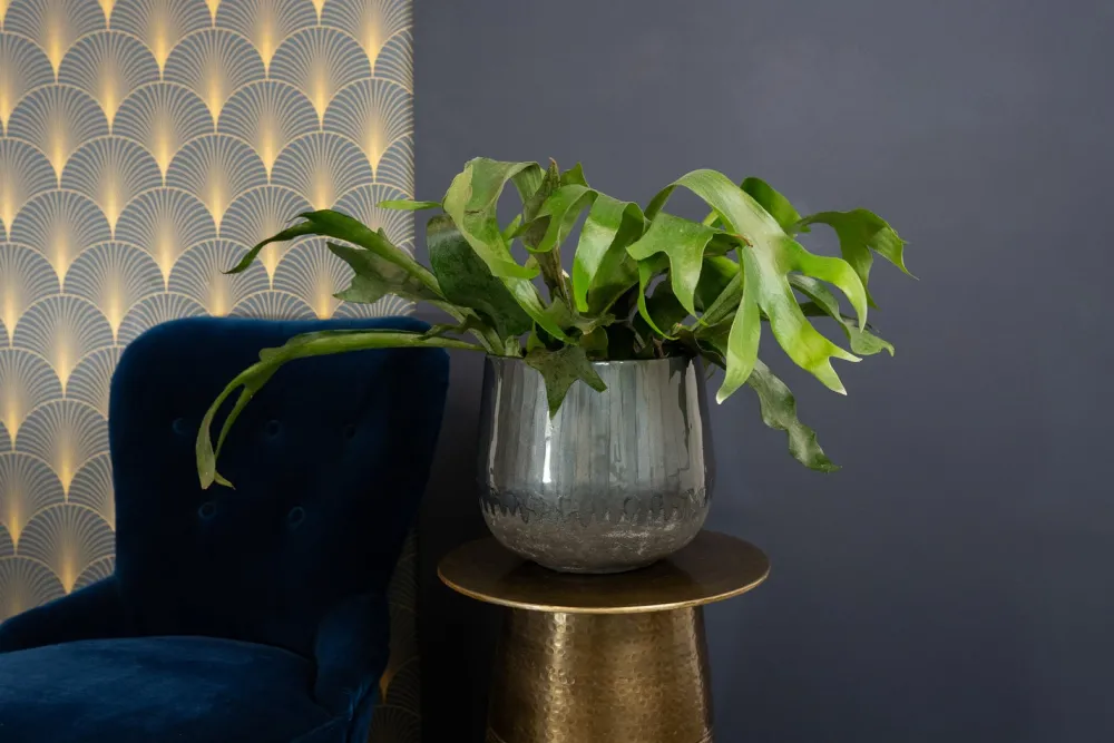 Hot TS Blumentopf Ninthe grau D 36 H 31 cm Blumentöpfe|Blumentöpfe & Pflanzgefäße