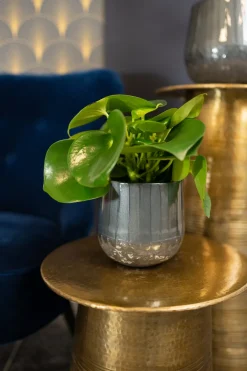 New TS Blumentopf Ninthe grau D 16 H 16 cm Blumentöpfe|Blumentöpfe & Pflanzgefäße