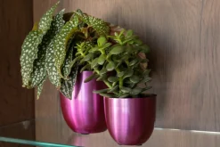 Online TS Blumentopf Nori D 8 H 7 cm violett Blumentöpfe|Blumentöpfe & Pflanzgefäße