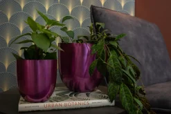 Outlet TS Blumentopf Nori D 17 H 16 cm violett Blumentöpfe|Blumentöpfe & Pflanzgefäße