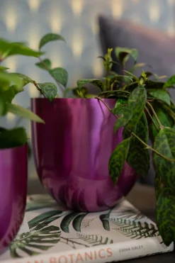 Clearance TS Blumentopf Nori D 13 H 13 cm violett Blumentöpfe & Pflanzgefäße|Blumentöpfe