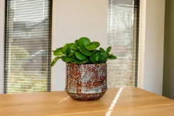 Clearance TS Blumentopf Noud braun / mint D 26 H 22 cm Blumentöpfe|Blumentöpfe & Pflanzgefäße