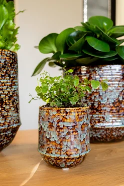 Clearance TS Blumentopf Noud braun / mint D 26 H 22 cm Blumentöpfe|Blumentöpfe & Pflanzgefäße