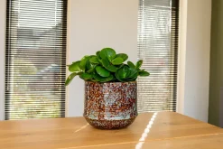 New TS Blumentopf Noud braun / mint D 17 H 15 cm Blumentöpfe|Blumentöpfe & Pflanzgefäße