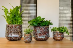 New TS Blumentopf Noud braun / mint D 11 H 12 cm Blumentöpfe|Blumentöpfe & Pflanzgefäße