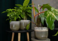 Clearance TS Blumentopf Tara grün / grau D 17 H 15 cm Blumentöpfe|Blumentöpfe & Pflanzgefäße