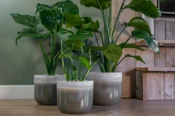 TS Blumentopf Tara grün / grau D 18 H 25 cm Blumentöpfe & Pflanzgefäße|Blumentöpfe