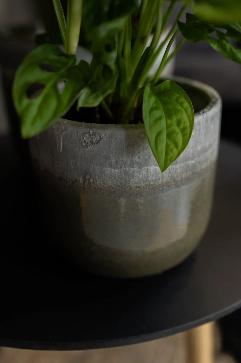 New TS Blumentopf Tara grün / grau D 19 H 16 cm Blumentöpfe|Blumentöpfe & Pflanzgefäße