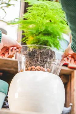 Discount TS Pflanztopf Lucas transparent D 32 H 24 cm Pflanztöpfe