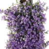 Clearance Wandhänger Dalmatiner Glockenblume (Campanula portenschlagiana 'Ambella Purple') D 60 H 25 cm Blühende Pflanzen|Winterharte Pflanzen